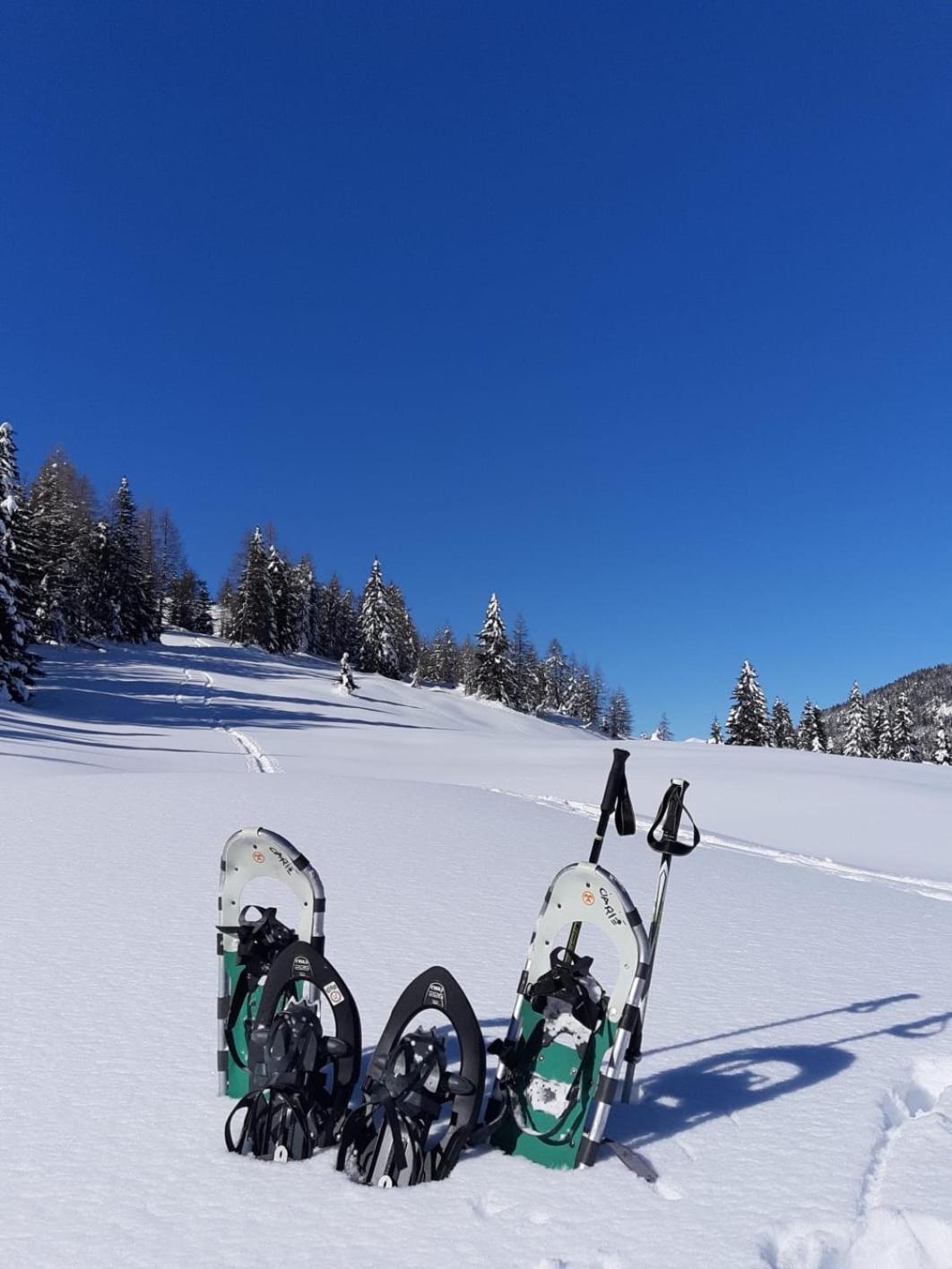 Appartamenti Al Ciarie Cima Gogna Zewnętrze zdjęcie